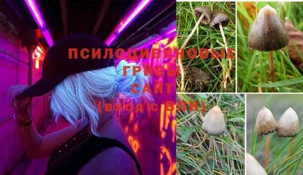 ешки Алзамай