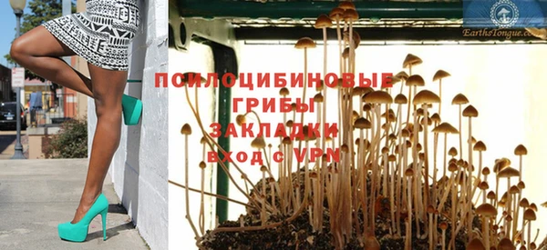 apvp Тавда