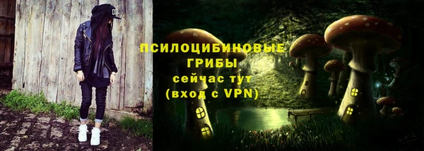 ешки Алзамай