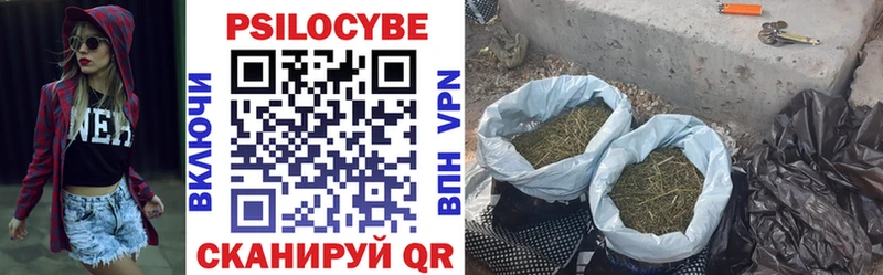 Псилоцибиновые грибы мицелий  Чекалин 